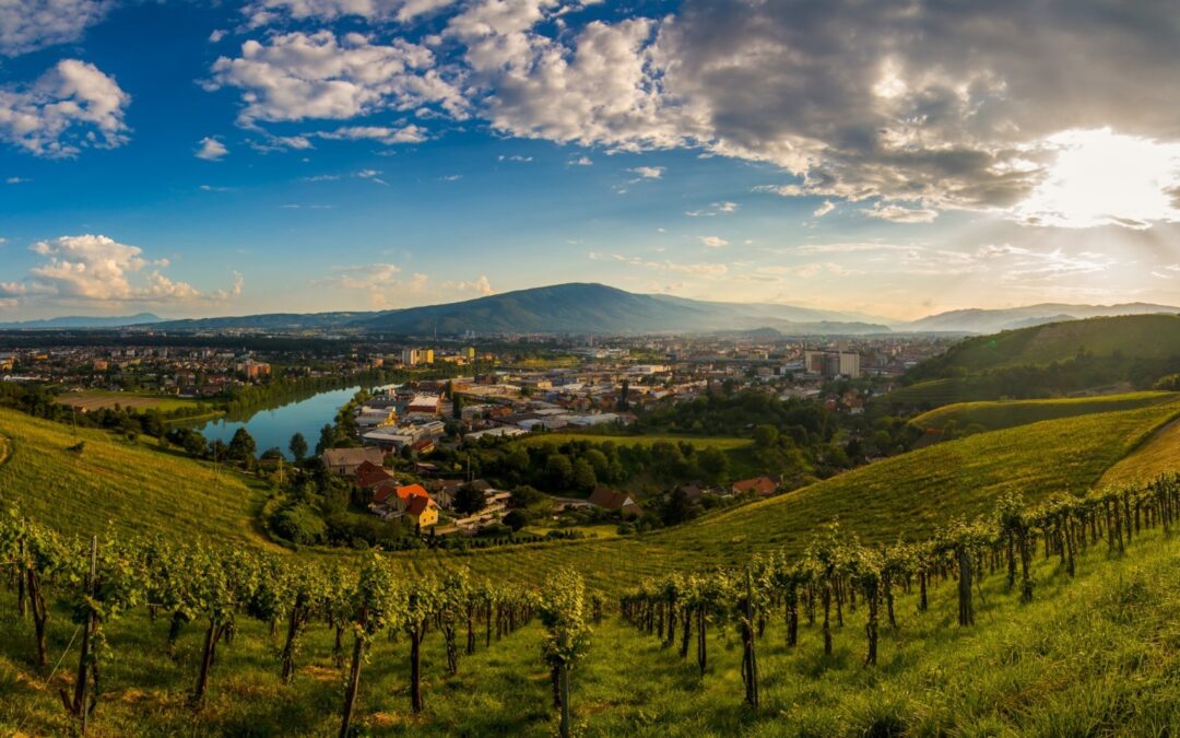 Podravje Region Embraces Circular Bioeconomy Strategy for Sustainable Development